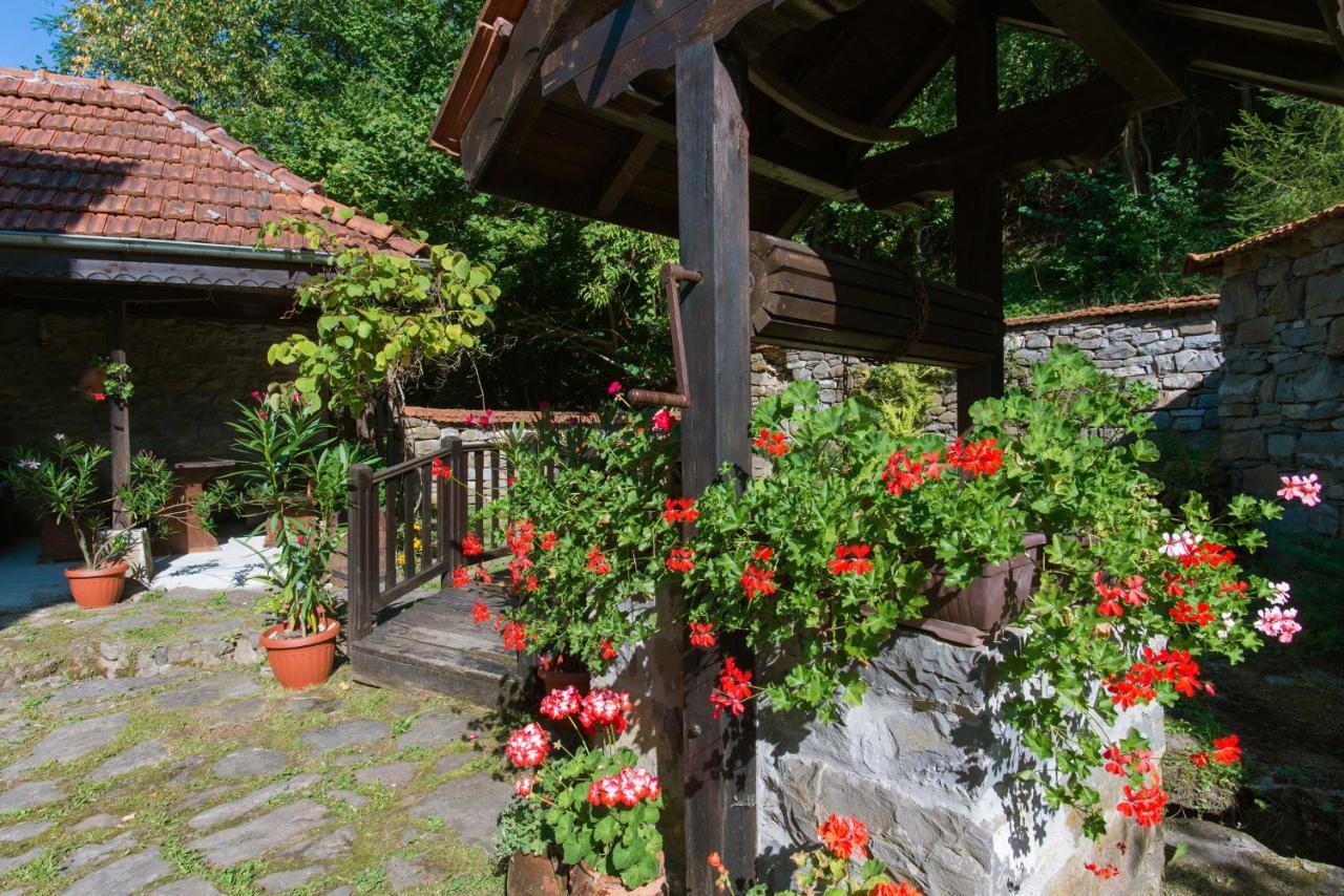 Family Hotel Bile Beli Osŭm Extérieur photo